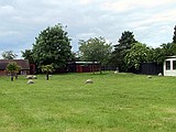 Linton Zoo
A field of Giant Tortoise