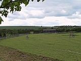 Linton Zoo
Zebra field